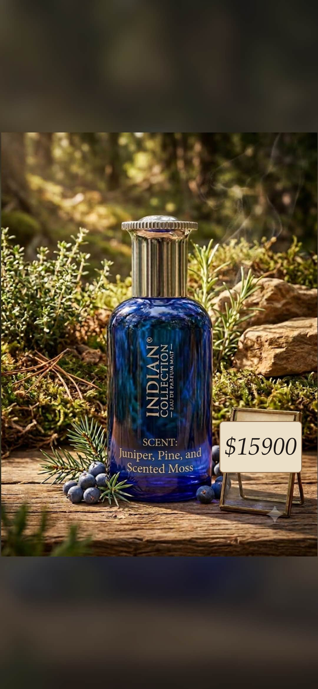 Men's juniper pine perfume display.